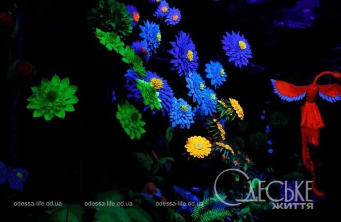 Резиденция святого Николая в Нерубайском, освещение