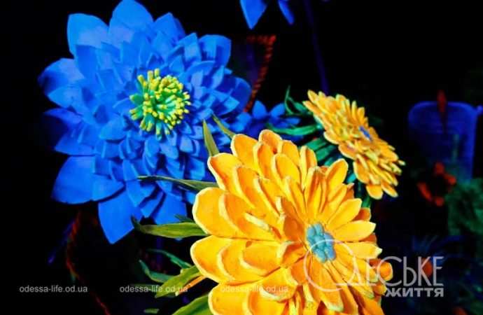 Резиденция святого Николая в Нерубайском, цветы