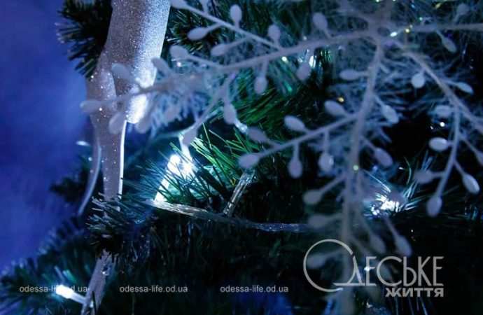 Резиденция святого Николая в Нерубайском, снежинка