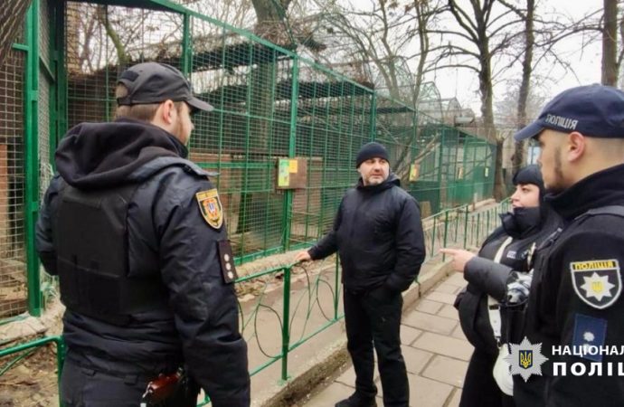 В Одеському зоопарку леопард напав на людину (відео) (ОНОВЛЕНО)