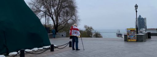 В Одессе поддержали протест в Грузии — фотофакт