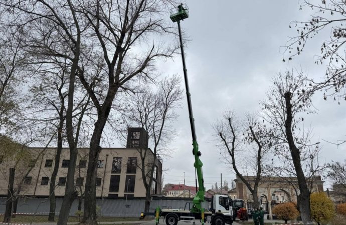 В Одесі почали підрізати високі тополі (відео)