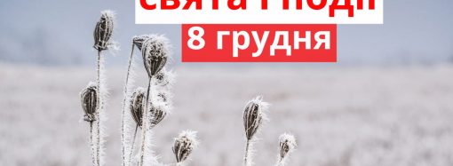 Сегодня в Украине празднуют День благотворительности: праздники и события 8 декабря