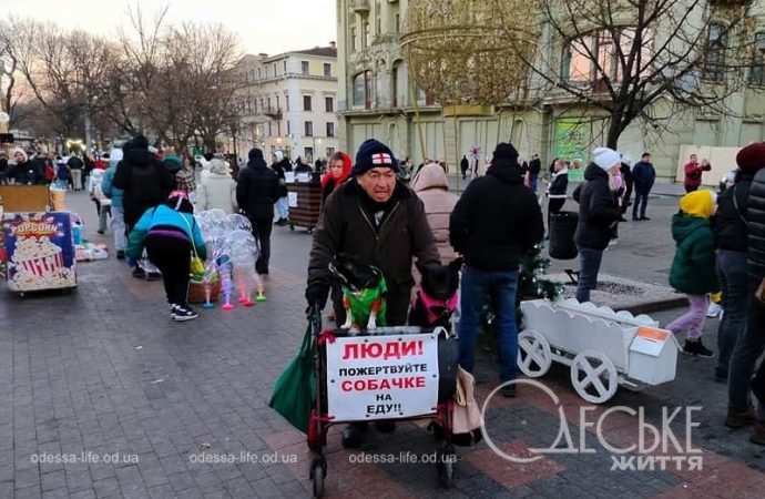 Центр Одессы 1 января, собачки
