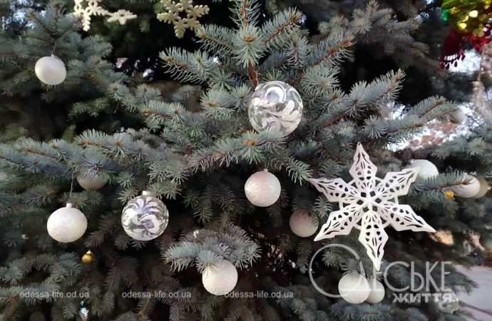 Центр Одессы 1 января, украшенная елка