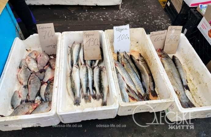 Одесский Привоз: цены на рыбу