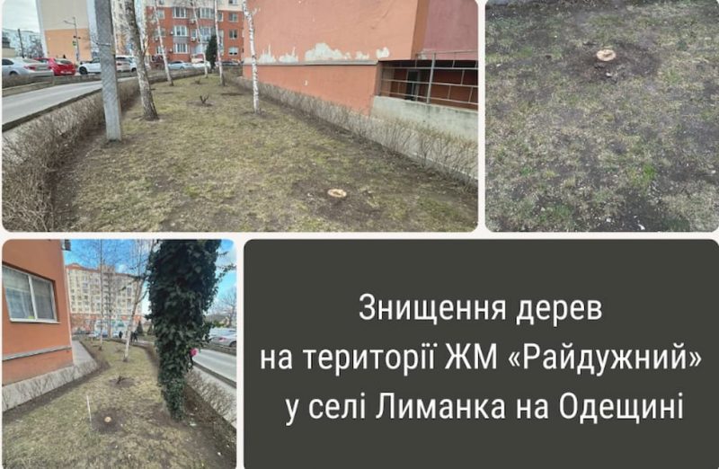 вырубили деревья в Радужном