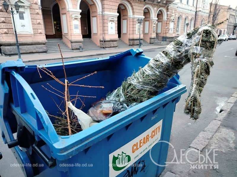 Фото дня: новый год все