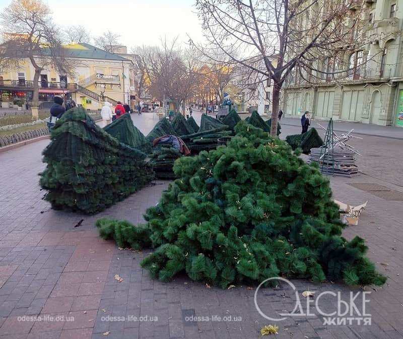 Фото дня: главная елка все