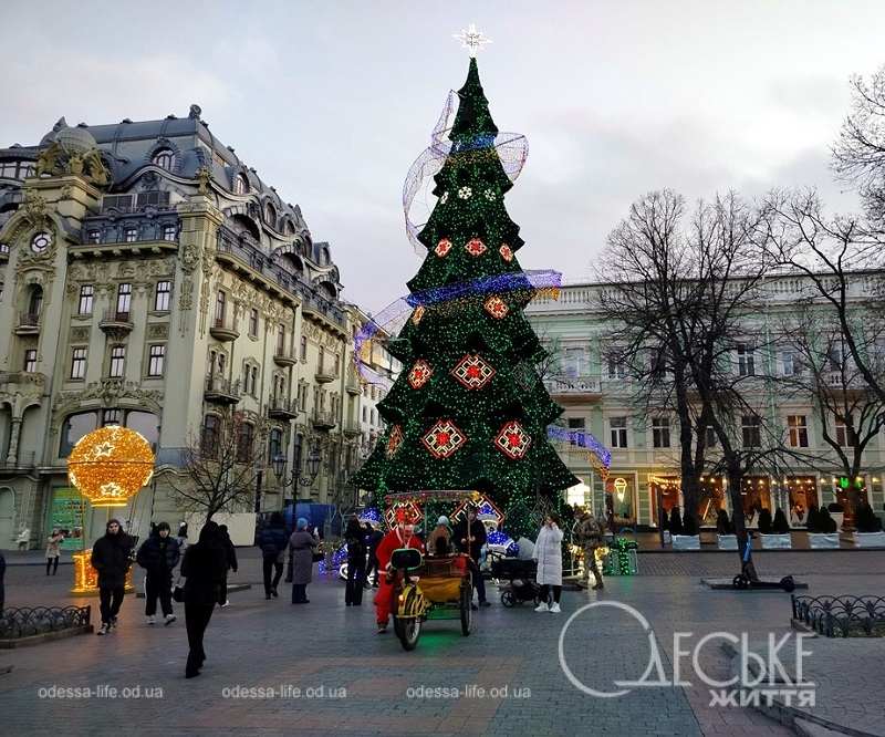 Фото дня: у главной елки