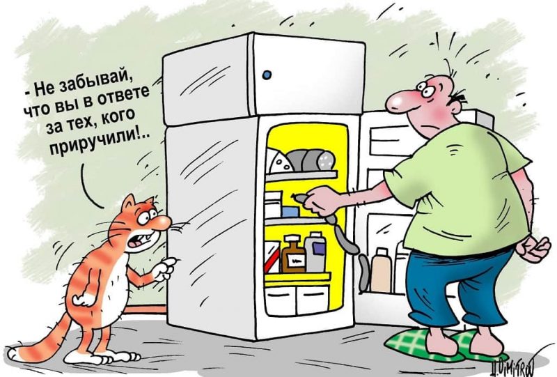 Карикатура про холодильник
