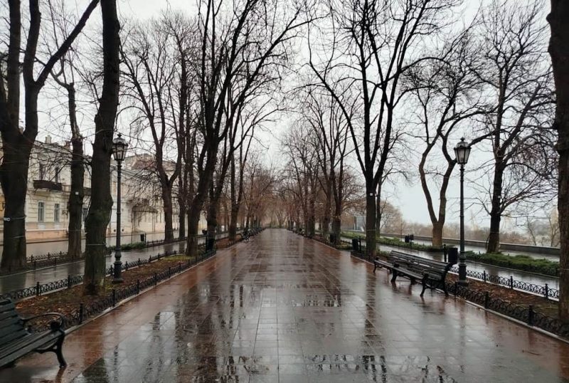 Приморский бульвар в январе, мокрый асфальт