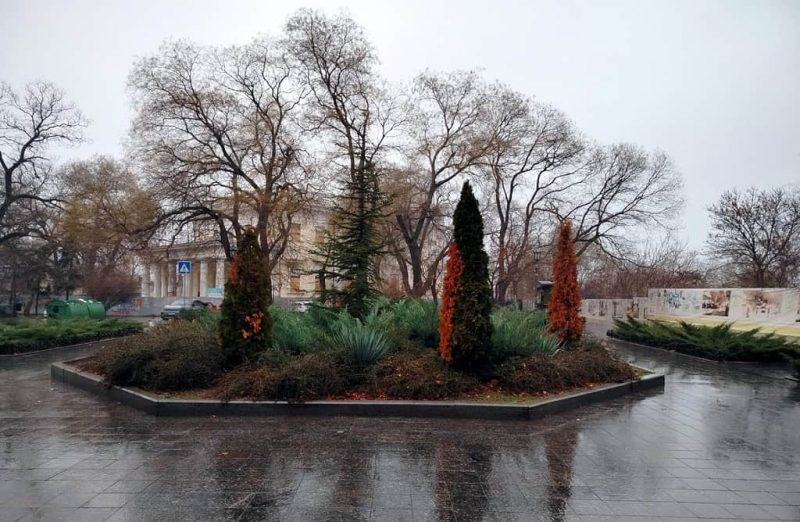 Приморский бульвар в январе, газон