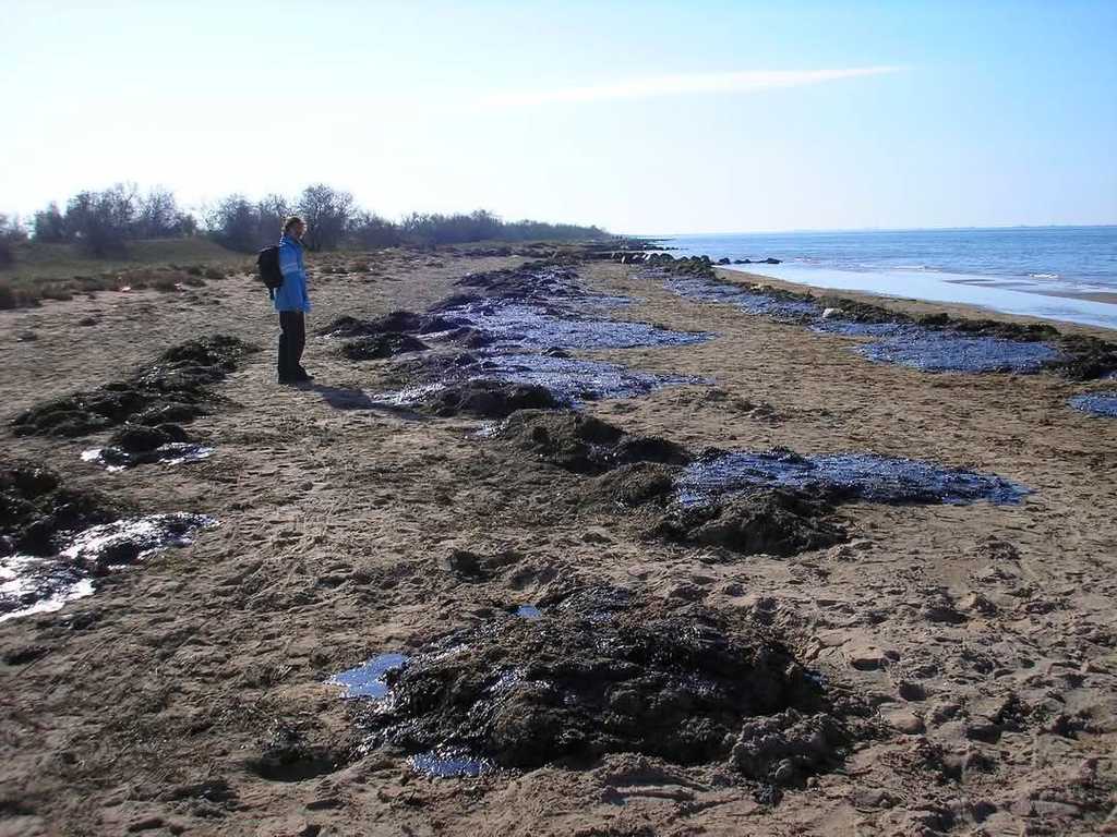 Узбережжя в мазуті