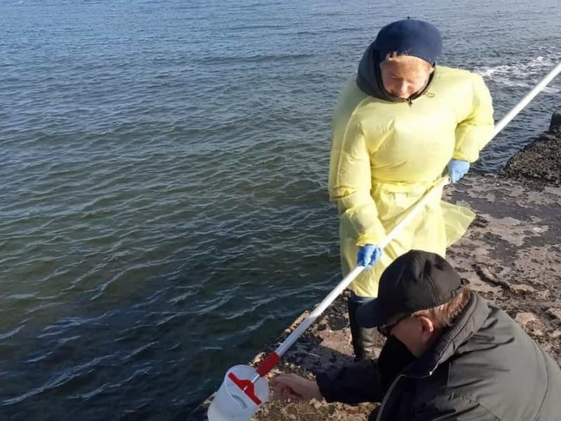 В Одесі перевірили якість морської води: чи вплинув на неї розлив мазуту в Криму