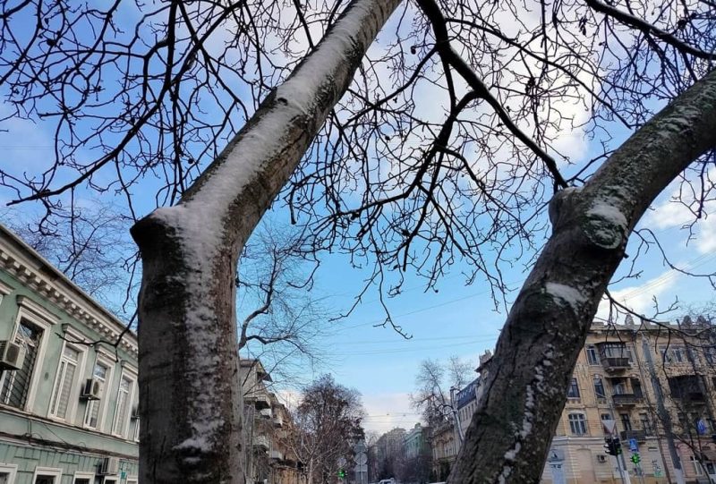 Февраль в Одессе, зимнее небо
