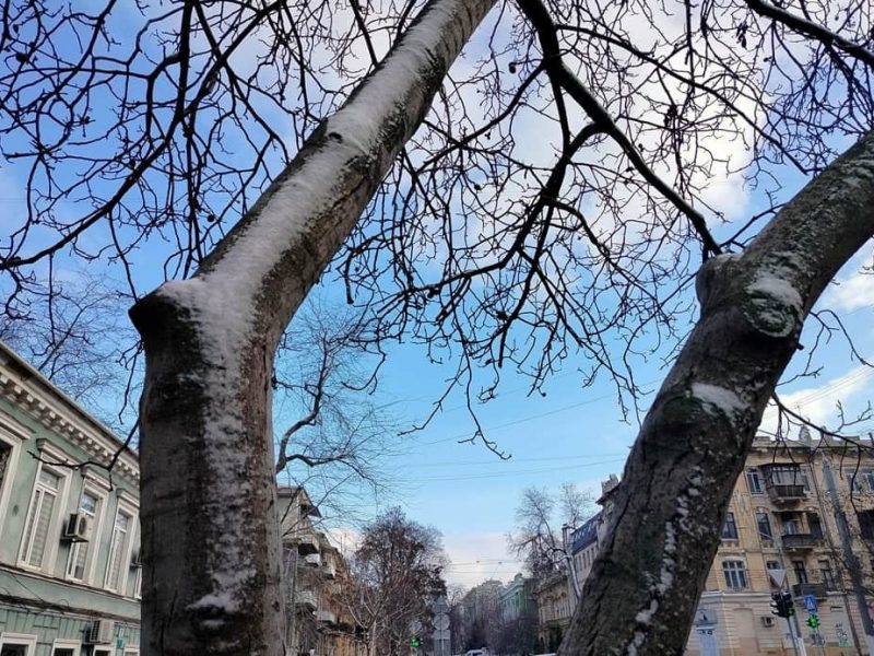 Февраль в Одессе, зимнее небо