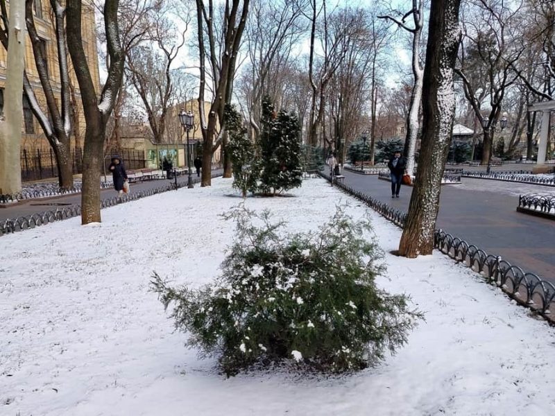 Февральский снег в Одессе