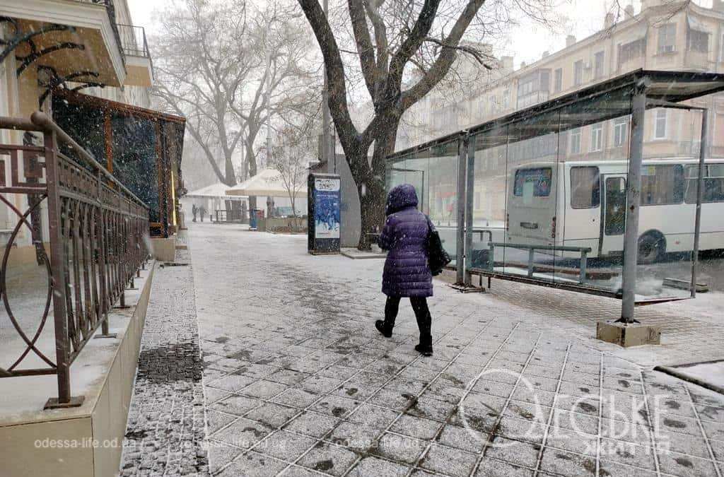 Фото дня, снежный февраль