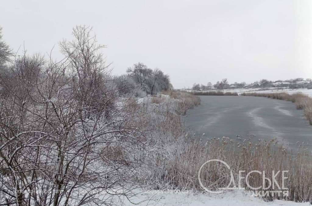 Снег в Любашевке