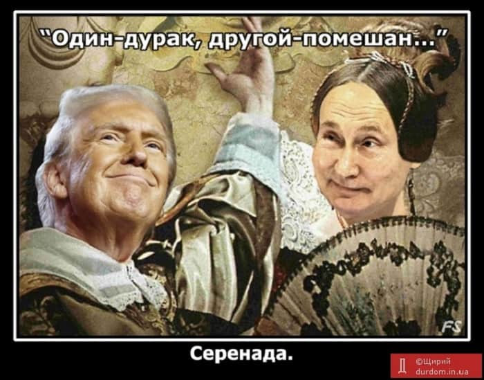 Мем про Трампа, серенада