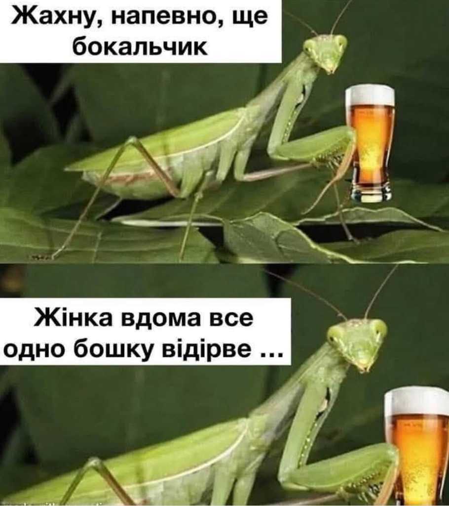 жінка вдома