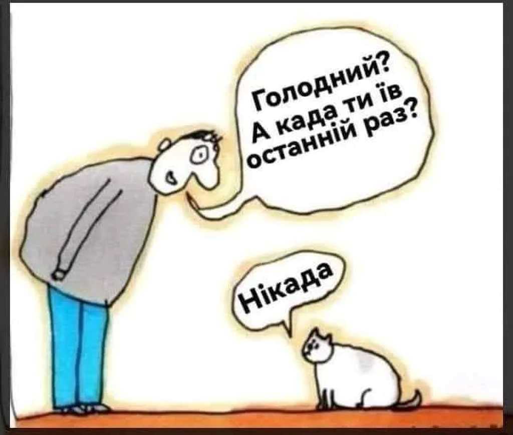 їжа