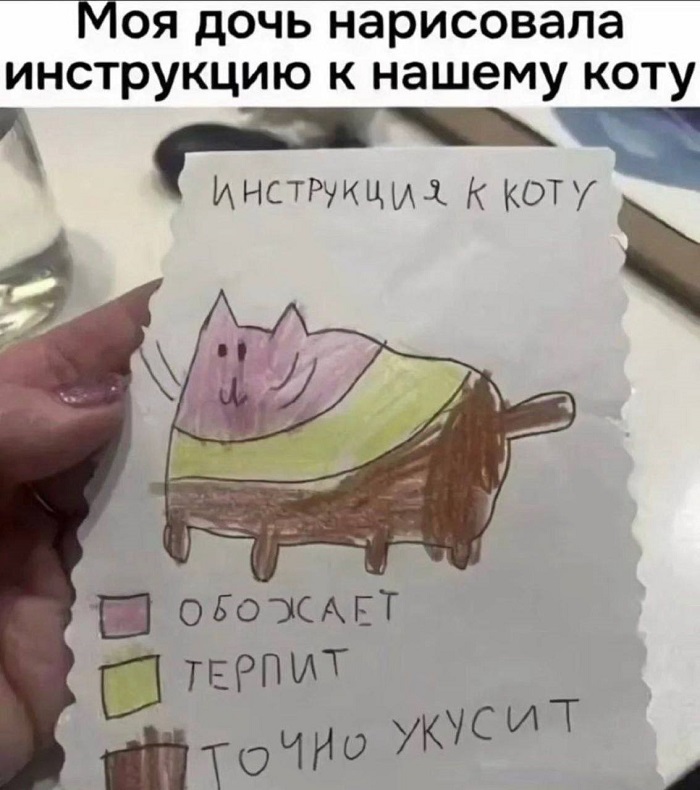 Инструкция к коту