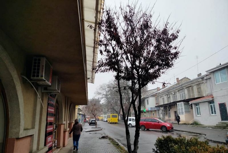 Март в Одессе, прохожий