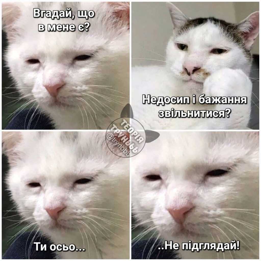 недосип