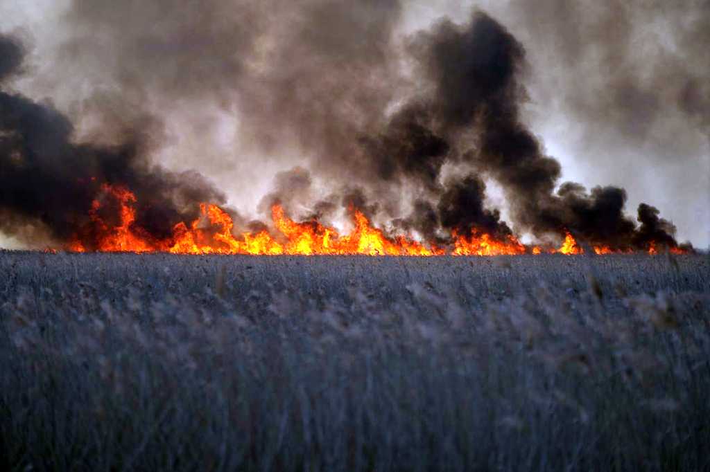 пожежа біляївка