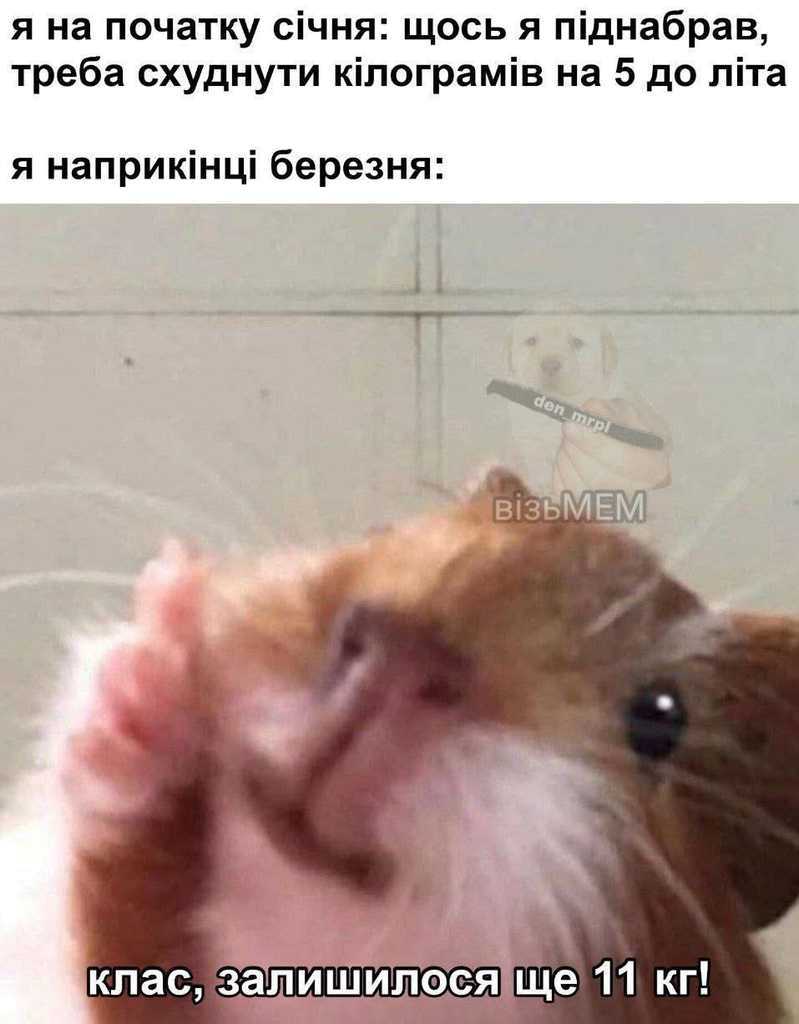 похудение