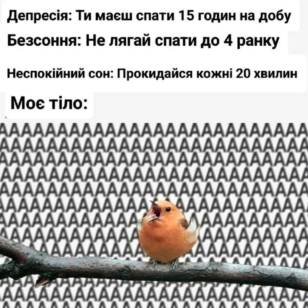 сон