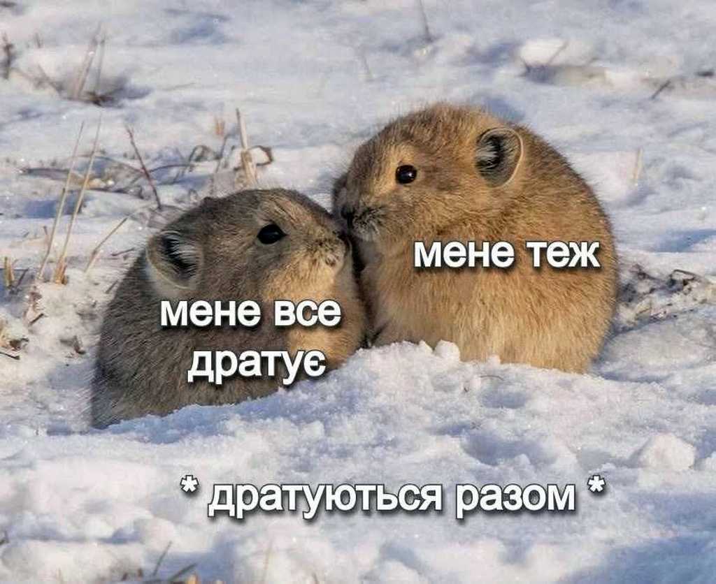 все дратує