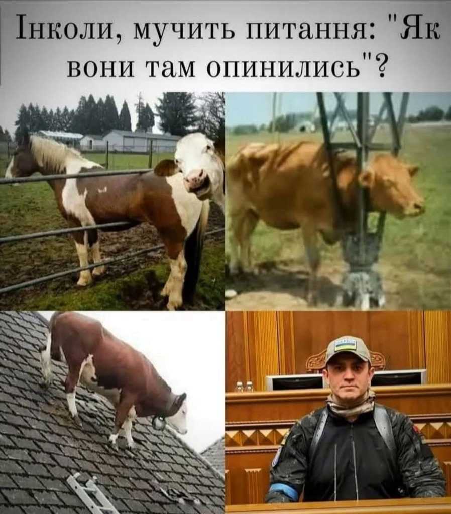 як вони там опинились