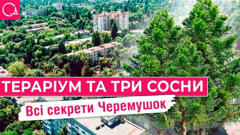 Черемушки