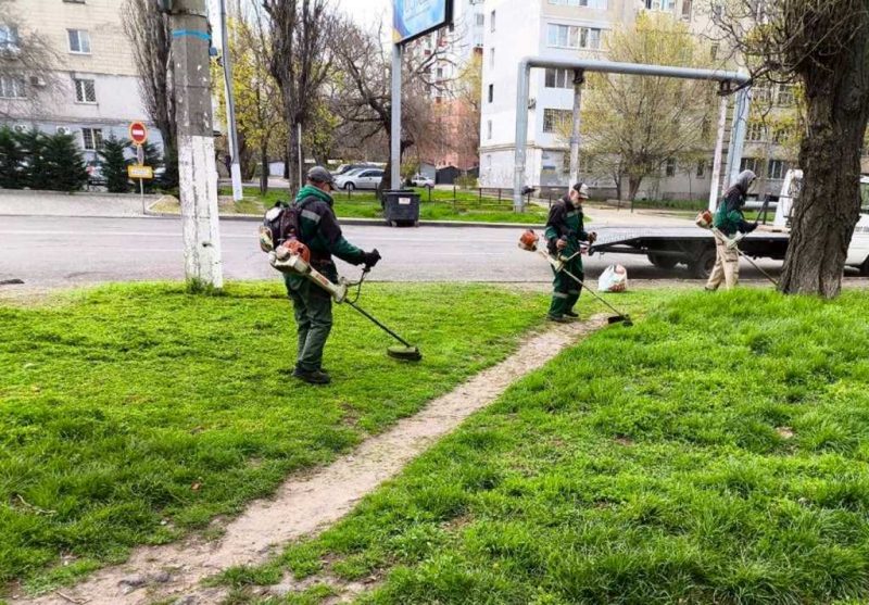 кошение травы
