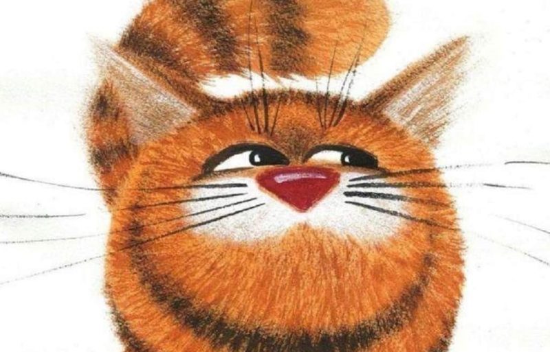 Одесский юмор: забавный кот
