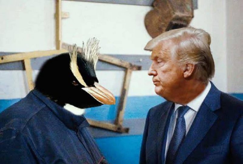 Трамп и пингвины, мем