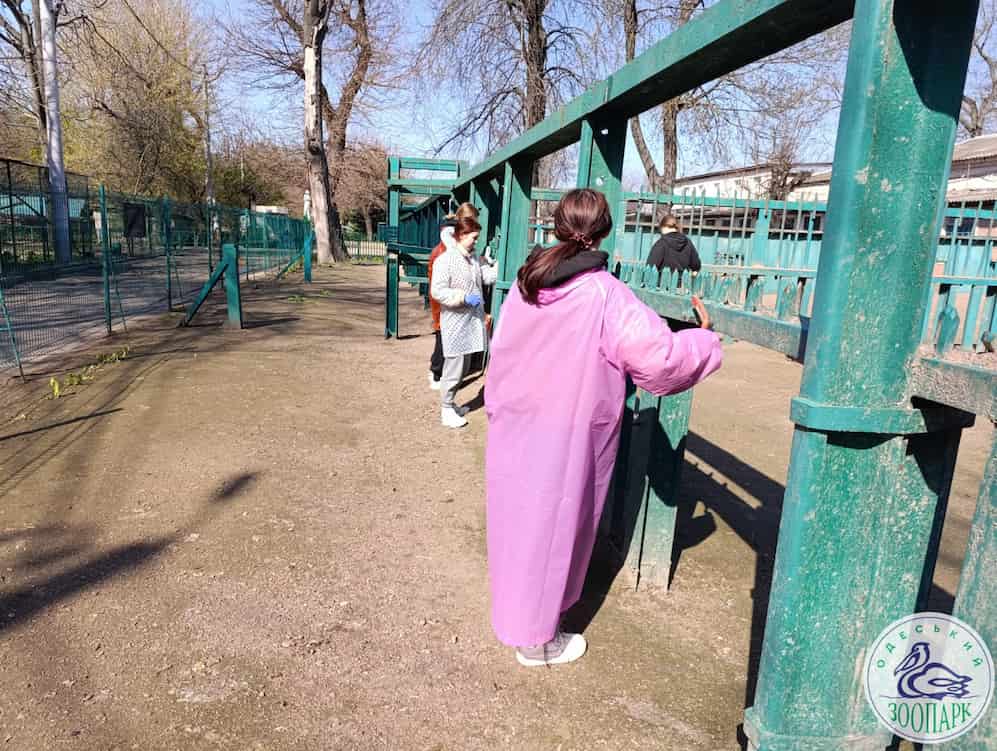 студенти ОЮА
