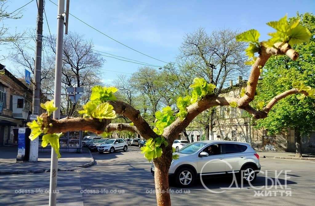 Центр Одессы в последний день апреля
