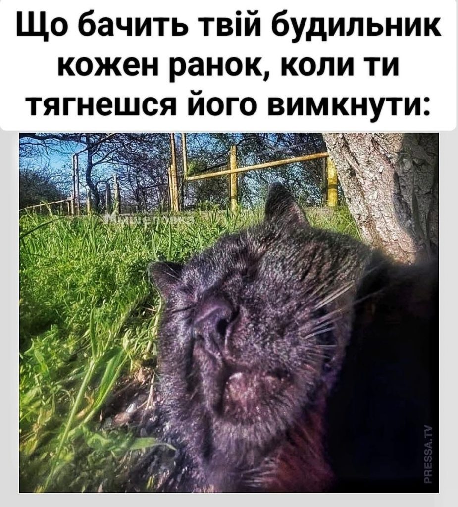 будильник