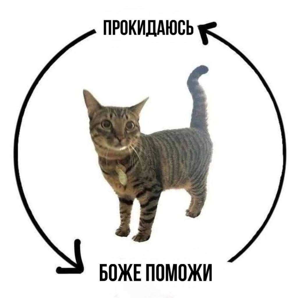 добрий ранок