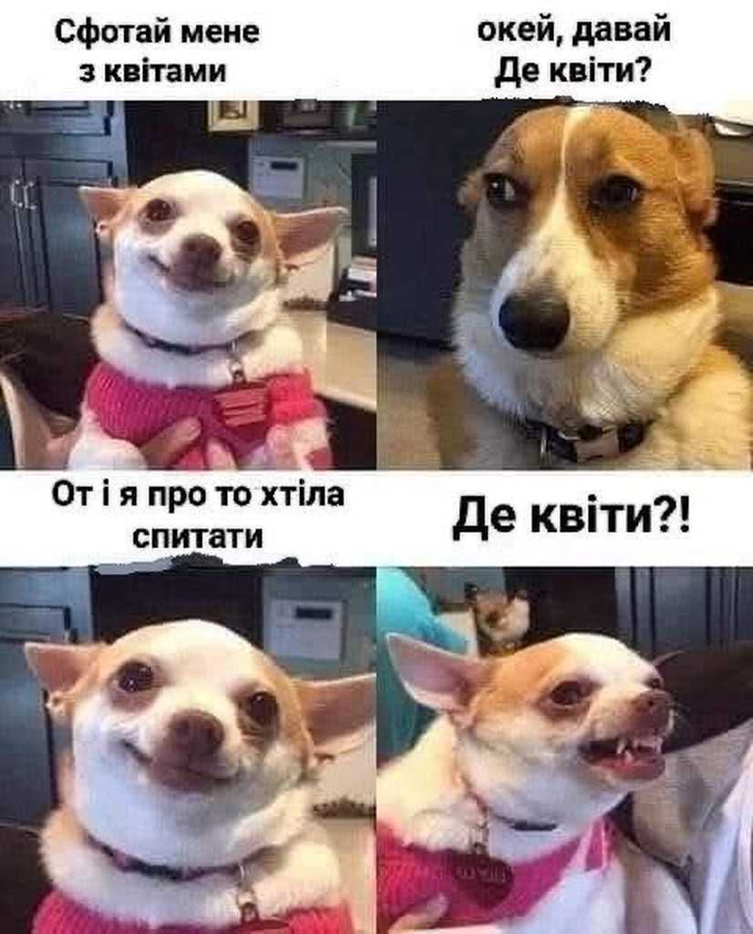 фото з квітами