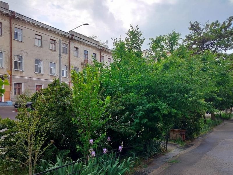 Май в Одессе, на улице