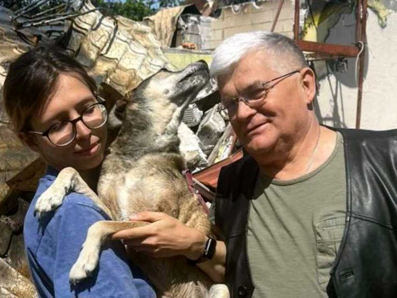 пес Альббус