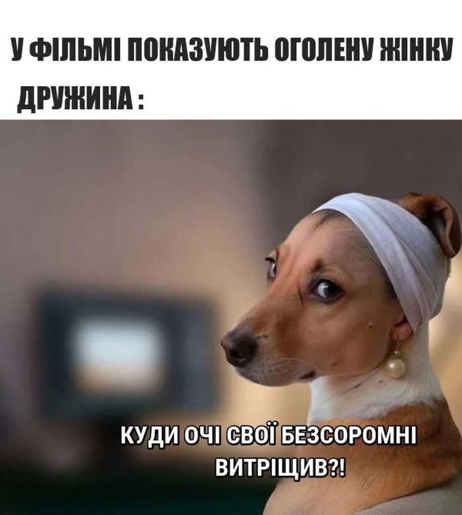 пікантне кіно