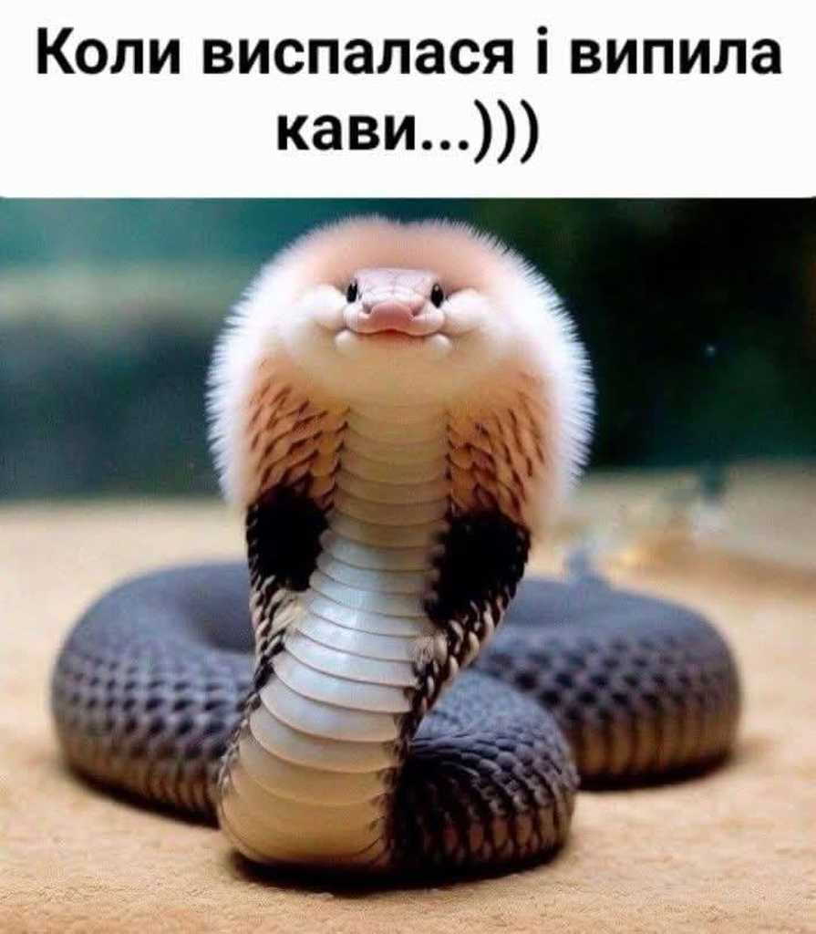 сон та кава
