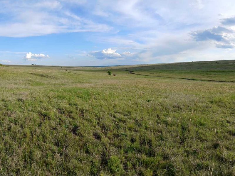 тарутинський степ