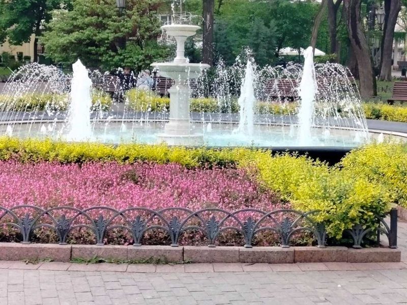 травень